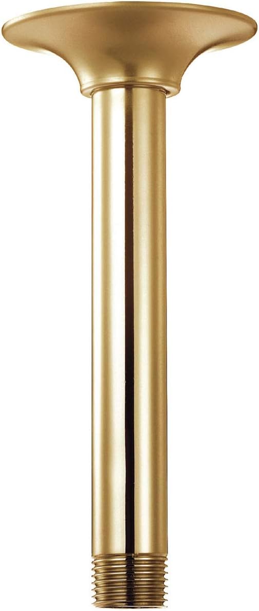 Gerber Plumbing Shower Head Extender with Escutcheon Plate