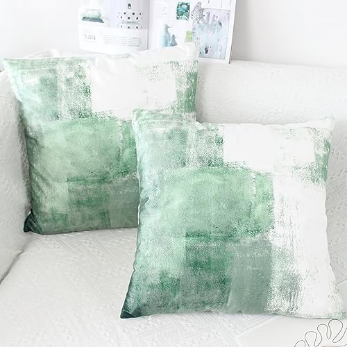 OYIMUA Set of 2 Decorative Velvet Cushion Covers 50 x 50 cm Abstract Art Decor Pillow Case Teal Cushion Cover 20x20 inches for Outdoor Patio Garden Blench Living Room Sofa Farmhouse Decor