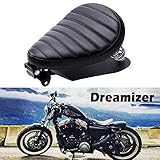 sportster custom tank Mit der Grundplatte, die Ihnen die Installation erleichtert.