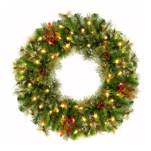 Our Fevorite Best Artificial Light For Solar Batteries Today’s