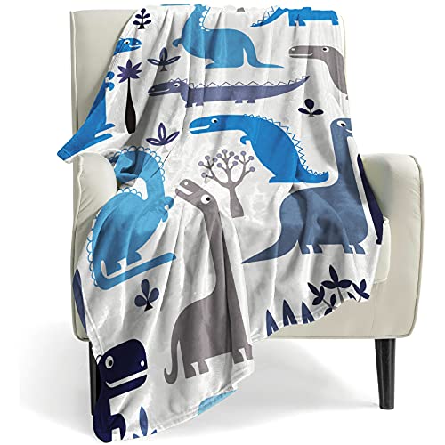 Image of Dinosaur Blanket