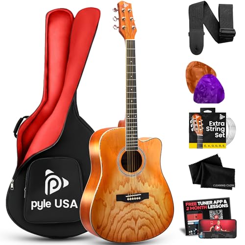 Pyle Steel String Acoustic Guitar Kit, 41' Full Size Cutaway with Ashtree Top, Open Pore Finish...