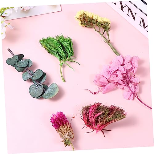 Materiales de Flores Secas Naturales para Manualidades miniatura 5