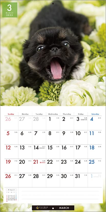 Amazon | インターズー・クリニッククラブ ペキニーズ 2023年