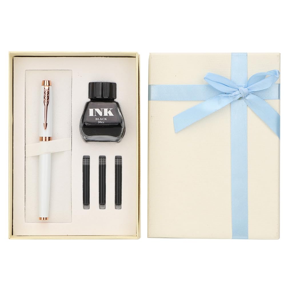 Stylo plume en métal avec flacon 30ml et 3 sacs d'encre rechargeables