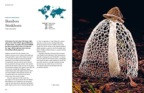The Lives Of Fungi: A Natural History Of Our Planet's Decomposers (The Lives Of The Natural World, 2) #TOP25