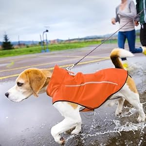 Mile High Life | Dog Raincoat | Adjustable Water Proof Pet Clothes | Lightweight Rain Jacket with Reflective Strip | Easy Step in Closure, Orange, Medium Mile High Life Dog Raincoat Adjustable Water Proof Pet Clothes Lightweight Rain Jacket with Reflective Strip Easy Step in Closure Orange Medium