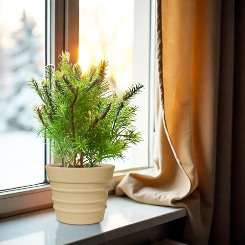 Image of YUCCABE ITALIA Fox B BR 12 Inch Beige Planter Pot Decorative Flower Pot for Indoor & Outdoor Plants German Polymer Pots for Home & Balcony