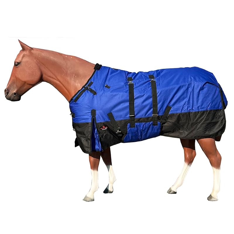 Manta impermeável de inverno para cavalos 1200D com isolamento de 300 g HILASON Azul Royal, 175 cm