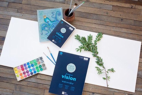 Strathmore Almofada de aquarela Vision Cold Press 23 cm x 30 cm - 63 kg, 30 folhas -62640590