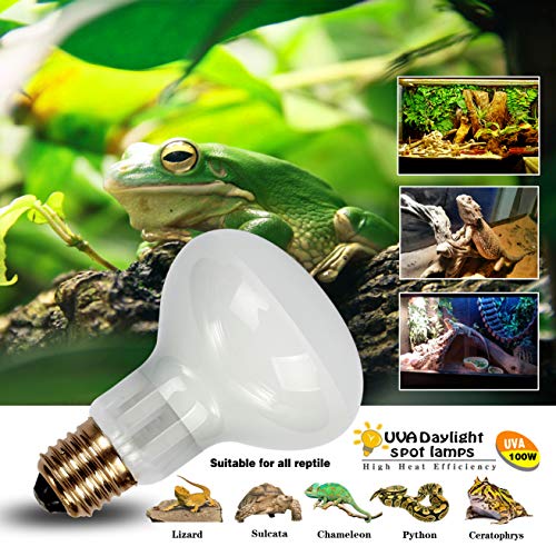 MCLANZOO Lâmpadas de calor para répteis 100 W, pacote com 2, lâmpadas de calor para répteis, lâmpada