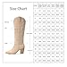 Pasuot Suede Cowboy Boots for Women - Western Knee High Cowgirl Boots with Side Zipper, Retro Pointed Toe Tall Block Heel Pull On Long Boot Fall Winter Concert Rodeo Festival Daily Beige Size 8