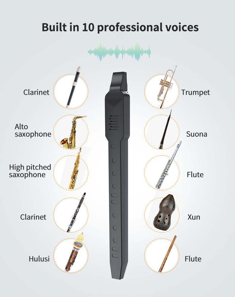 Slowpipe électrique MIDI intégrée 10 tons comme saxophone Hulusi soufflant flûte Suona, etc. Mini instruments à vent numériques pour étudiants, adolescents, enseignants, adultes, personnes âgées