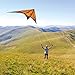 paleonEarth Mk2 Dual-line Stunt Kite with a 90 Inch Wingspan (Monarch)