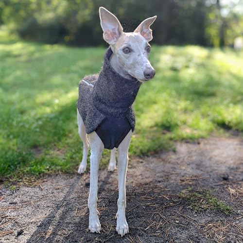 EDEL&SCHNELL Hundemantel wasserdicht, Woll-Wintermantel für Ridgebacks, Dalmatiner, Weimaraner und andere schlanke Rassen, Hunde Wintermantel Größe 70-75