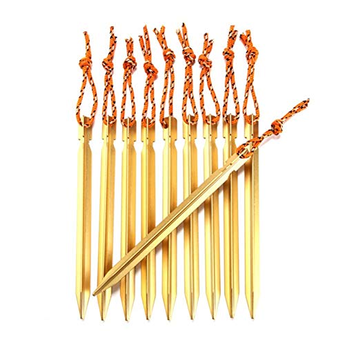 Piquets pour tente accessoires de camping et de randonnée
