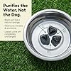 Dog Rocks Prevent Grass Burn Marks, 2 Month Supply