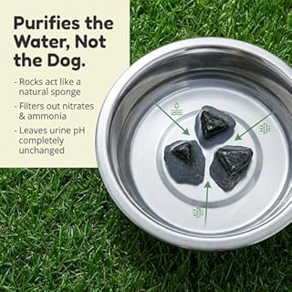 Dog Rocks Prevent Grass Burn Marks, 2 Month Supply