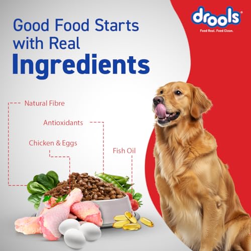 Image of Drools Adult Dry Dog Food 10kg | Chicken & Egg Flavour | Omega 3 & 6 for Healthy Growth | Better Digestibility & Health | Maintains Joint Health | Helps Control Tartar Build Up
