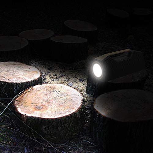 Wharfedale Altoparlante Bluetooth Altoparlante Wireless Portatile Esterno,IPX7 impermeabile,25W Forte suono,Basso ricco,Luce a led,Accumulatore di energia,TWS, design durevole (Nero)