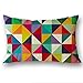 LONUPAZZ Housse De Coussin Rectangle 30X50 Imprimé Multicolore Soie Taie d'oreiller De Jet 30x50 (F)