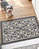 DEXI Front Door Mat Entryway, Inside Welcome Entrance Doormat Low Profile Thin, Non Slip Washable Entry Mats for House Floor Dirt Trapper, 20x32, Dark Gray
