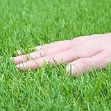 ガーデンマスター(Gardenmaster) 人工芝 0.9×5m 芝丈30mm 90㎝幅 U字固定ピン12本入り 耐候級最上位5級 ベランダ バルコニー 屋上 テラス 水よけ マンション ペット 芝生 CY6B-3095P(GR)