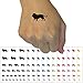 Lion Solid Temporary Tattoo Water Resistant Fake Body Art Set Collection - Light Pink (One Sheet)