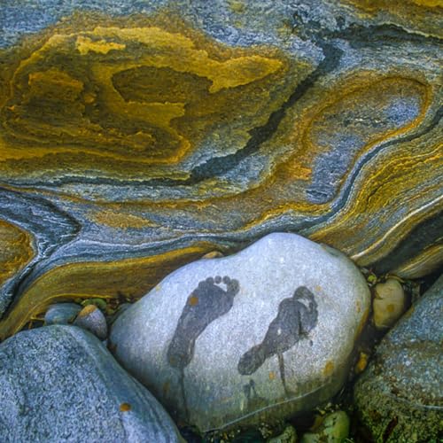 Natural Intelligence Worldwide cover art