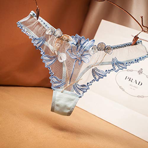 Sekexi Womens Silk Satin Transparent G-String Thong Panty Sexy Lace T-Back Underwear (One Size, Blue) #TOP13