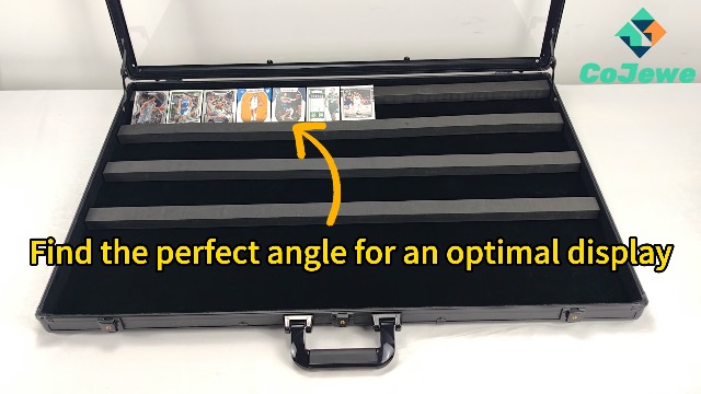 Amazon.com: CoJewe Card Show Display Case with Carry Bag–34