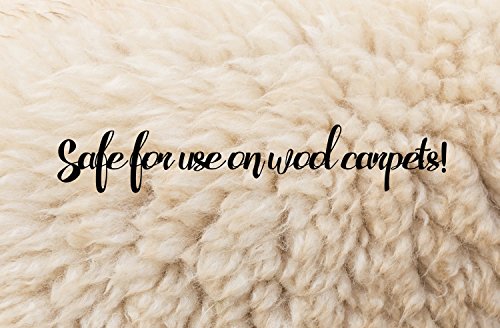 Pro-Kleen Carpet Cleaning Solution Upholstery Shampoo – Spring Bloom Fragrance - Professional High Concentrate Cleaner Solution - Suitable For All Machines - 5 Litres