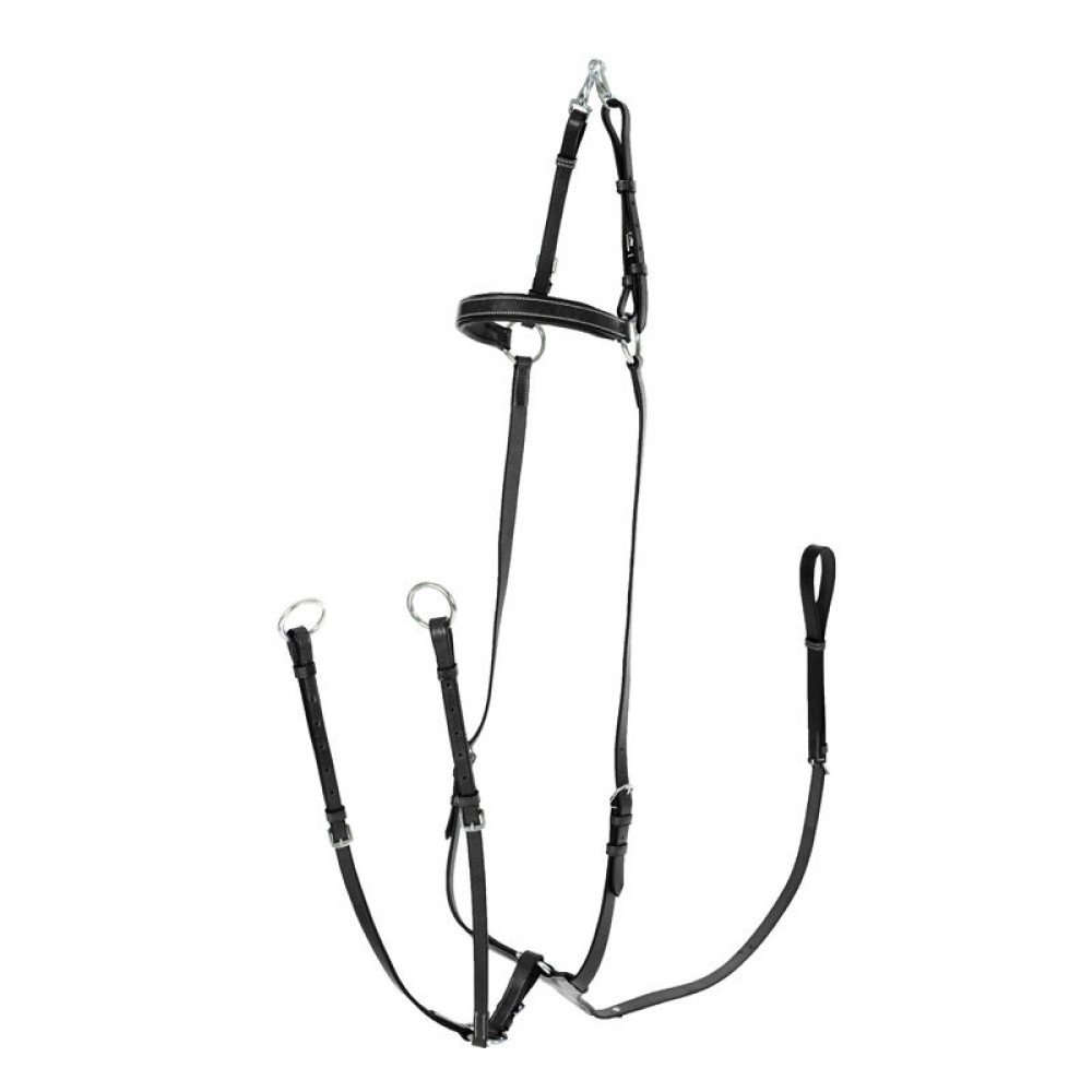 HORZE Collier de Chasse réglable