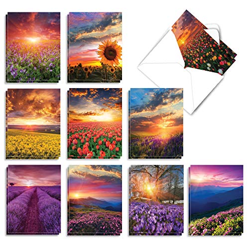 The Best Card Company - 20 Landscape Nature Note Cards Blank (4 X 5.12 Inch) (10 Designs, 2 Each) - Blooming Sunsets Am9263Ocb-B2X10 #TOP7