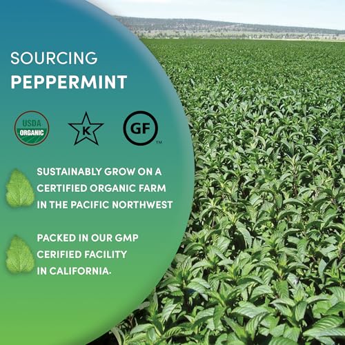 Worldwide Botanicals Organic Peppermint Tea, 4oz - Loose Leaf Premium Herbal Tea, 100% Pure Peppermint, Digestive Tea, Antioxidant, Caffeine Free