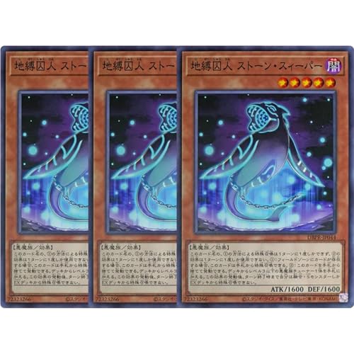 y3Zbgz VYJ[h DBPR-JP044 nl Xg[EXB[p[ im[}j fbLrhpbN t@gExW[Y 