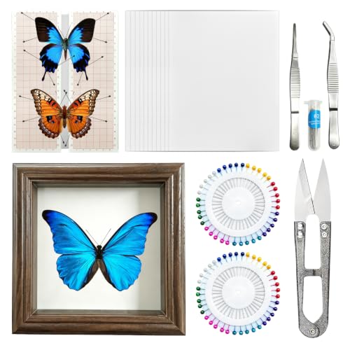 18Pcs Insect Pinning Kit for Beginners