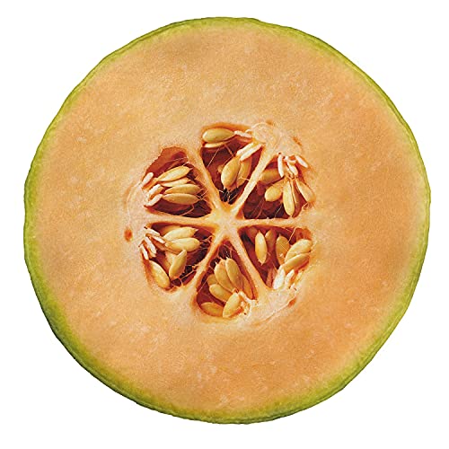 Ambesonne Fruit Round Blanket, Half Of Melon Summer Season Botanic Food With The Seeds Ripe Artwork, Lightweight Sofa & Bed Cover Gift For Mom From Daughter, 71" Round, Apple Green Pale Orange #TOP5
