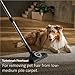 Imagen de Miele Guard M1