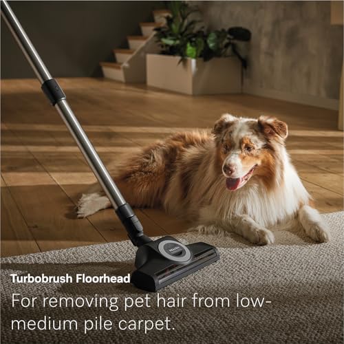 Image of NEW Miele Guard M1 Cat & Dog Bagged Canister Vacuum for Pet Owners with Odor-Reducing Active AirClean Filter, TurboTeQ Floorhead, and AllTeQ Universal Floorhead, in Obsidian Black /Space Grey