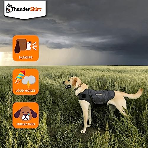 ThunderShirt for Dogs, Dog Calming Jacket, Thunder Shirt Large, Anxiety Coats for Dogs, Instant Natural Relief for Storms, Fireworks & Separation, Calming Vest, 5 Sizes, Grey - Image 4