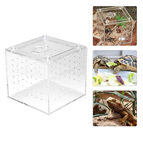 Caixa de reprodução de répteis com material acrílico, caixa de cobras e lagartos, 10 x 10 x 9 cm, ar