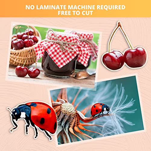 Htvront Clear Self-Adhesive Laminating Vinyl Roll-12"X30Ft Non Thermal Laminating Film,No Machine Needed Clear Vinyl Laminate For Stickers #TOP4