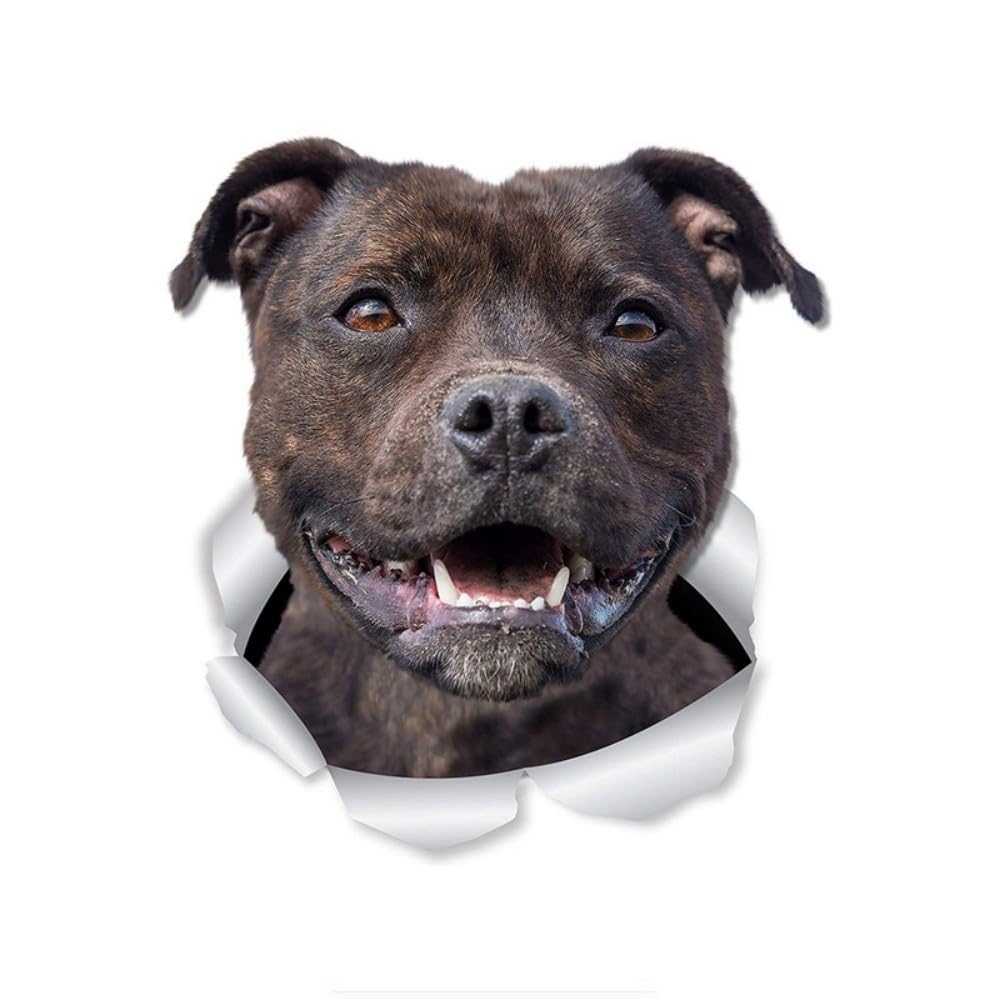 Staffordshire Terrier Reflektierende Aufkleber, 3D Zerrissener Effekt, Lustige Wasserfester Vinyl-Aufkleber für Laptop, Kühlschrank, Auto, Stoßstange (22cm/8.7 Inch)