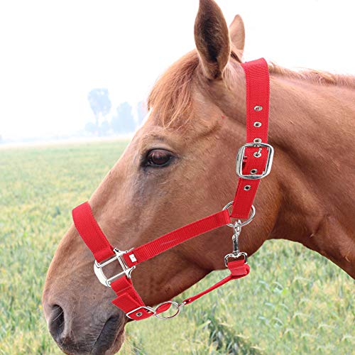 Paard Halster 6Mm Verdikte Rode Kleur Verstelbare Paard Hoofdstel Halster Rij-Accessoires - Afbeelding 4