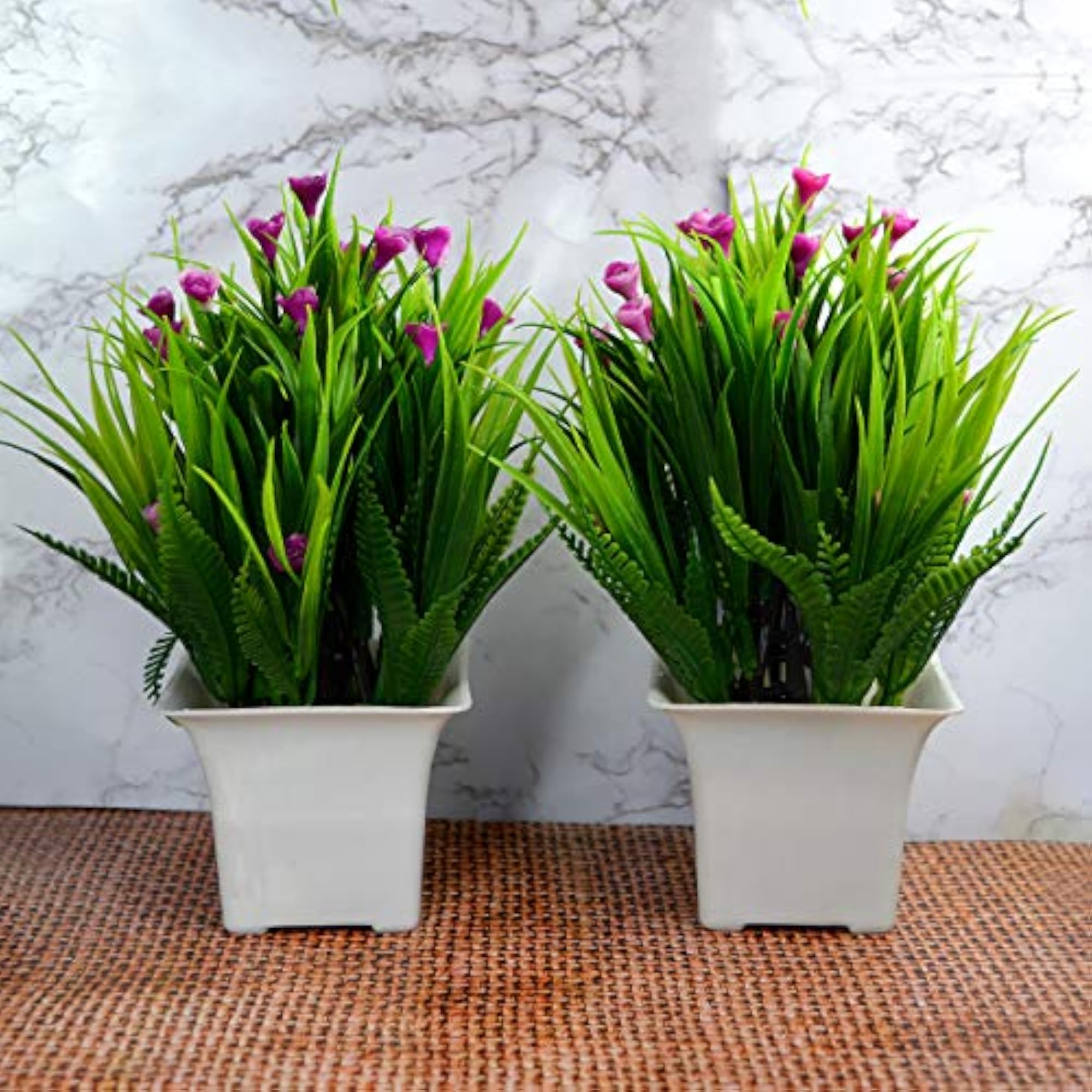 Bonsai Plants for Home Indoor Decor with Pot