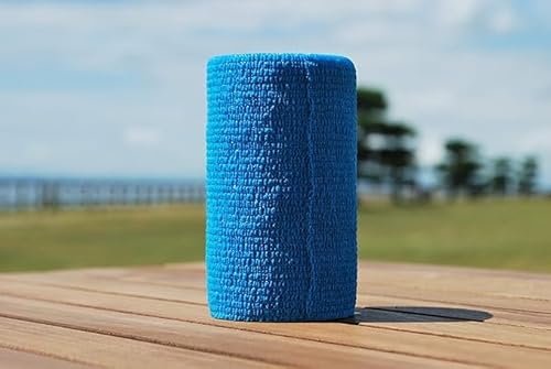 oe[W {Yp (10cm X 4.5mj12×1P[X eF (F)