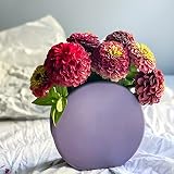 Rhapsody Studio Ceramic Vases For Home Decor - Round Vase, Lavender Vase, Purple Vase, Vases For Dec