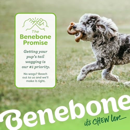 Benebone 7-Pack Medium by Benebone - Image 8