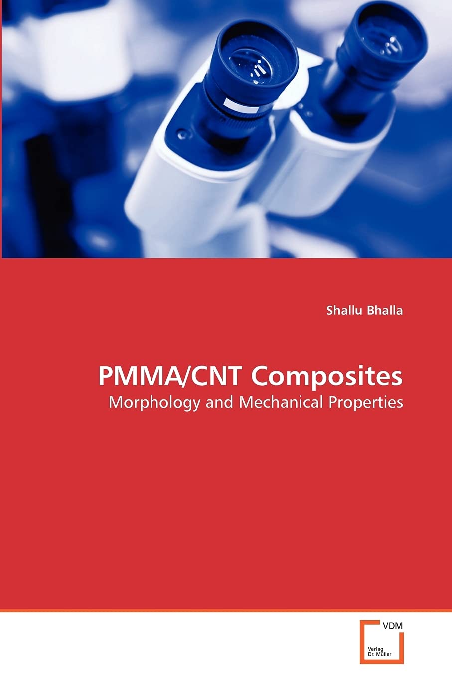 PMMA/CNT Composites: Morphology and Mechanical Properties